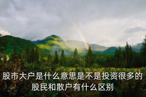 炒股大戶是什么意思，股票中的大戶是什么意思