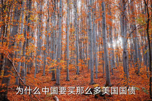 為什么要買美國(guó)國(guó)債，為什么要買那么多美國(guó)國(guó)債