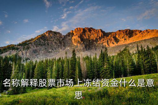 股票交易資金凍結(jié)什么意思，名稱解釋股票市場上凍結(jié)資金什么是意思