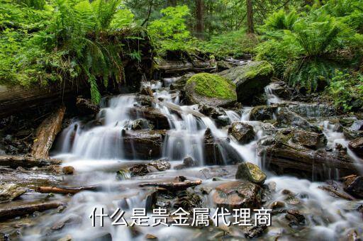 貴金屬做渠道是什么意思，什么是貴金屬延期交易渠道