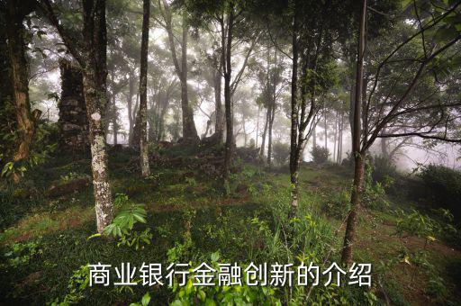 什么是金融創(chuàng)新，商業(yè)銀行金融創(chuàng)新的介紹