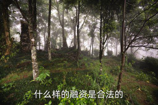 什么是合法的融資，什么是合法融資