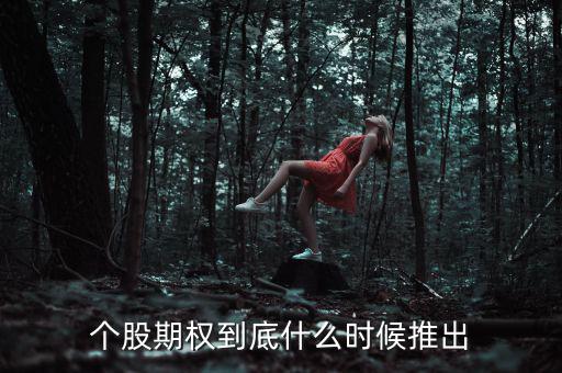 什么時候推出個股期權(quán)，股票期權(quán)什么時間開始