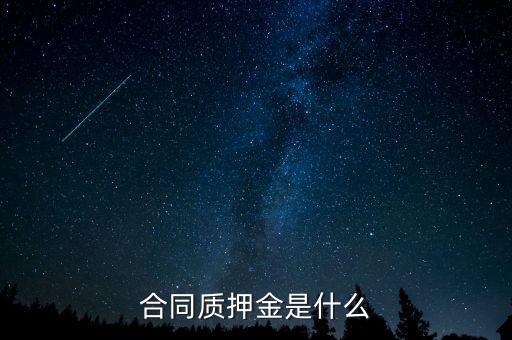 質(zhì)押金是什么，期貨中的質(zhì)押金是什么意思