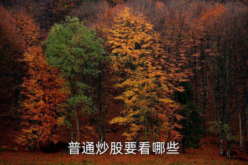 炒股每天都看什么，炒股究竟看什么怎么看