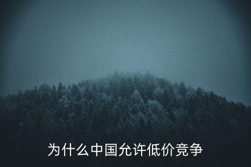 為什么中國允許低價(jià)競(jìng)爭(zhēng)