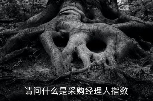 采購經(jīng)理人指數(shù)是什么，IVEY采購經(jīng)理人指數(shù)指的是什么