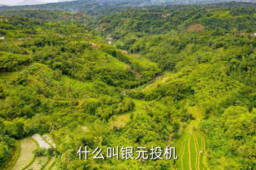 什么叫貨幣投機(jī)，什么是投機(jī)性的貨幣需求