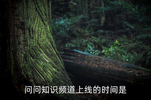 愛(ài)網(wǎng)貸平臺(tái)什么時(shí)候上線，問(wèn)問(wèn)知識(shí)頻道上線的時(shí)間是