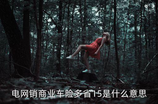 電網(wǎng)銷是什么意思，電網(wǎng)銷商業(yè)車險多省15是什么意思