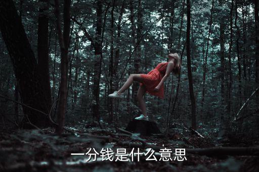 支付寶錢包一分錢是什么意思，一分錢是什么意思