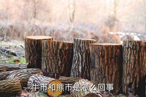 什么是熊市，人們?nèi)粘Ｕ務(wù)摴墒行星闀r(shí)常提及牛市熊市其中牛市指