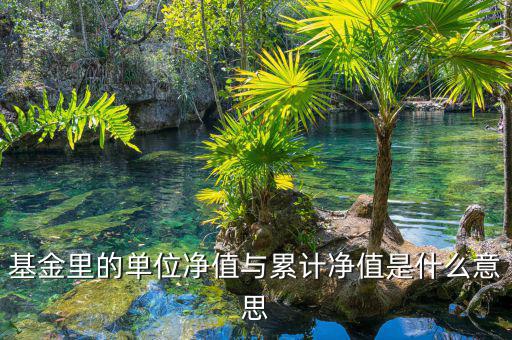 基金凈值和累計(jì)凈值是什么，基金里的單位凈值與累計(jì)凈值是什么意思