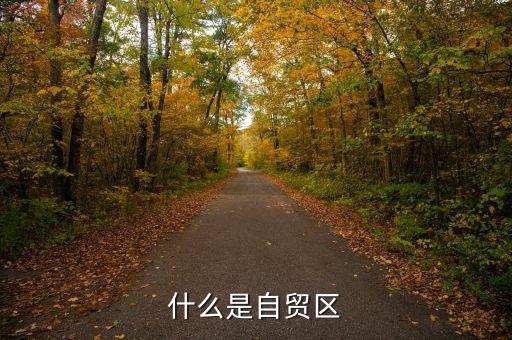什么叫自貿(mào)區(qū)，什么叫自貿(mào)區(qū)