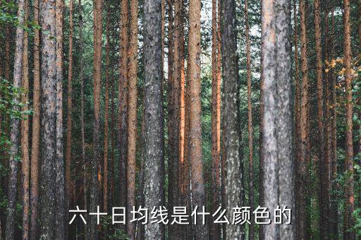 60日均線是什么顏色，5日10日60日線是什么怎么看是什么顏色