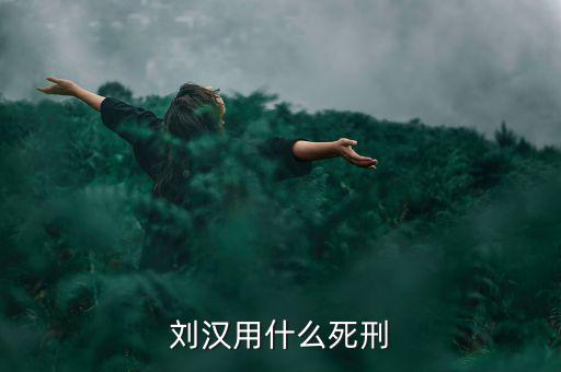 劉漢什么罪，劉漢用什么死刑