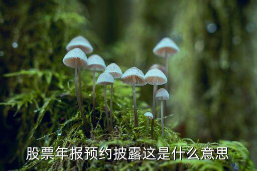 股票披露是什么意思，股票年報(bào)預(yù)約披露這是什么意思