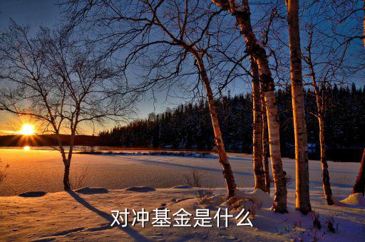 對(duì)沖基金到底是什么，對(duì)沖基金是什么