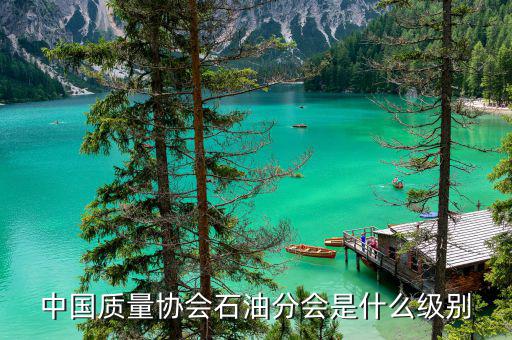 中質(zhì)協(xié)獎屬于什么級別，國藝杯屬于什么級別的獎項
