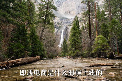 萬達(dá)電商什么時候上線，飛凡電商什么時候正式上線的