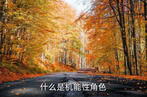 什么是名義剛性，什么是機(jī)能性角色