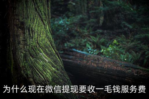 微信提現(xiàn)為什么要收費(fèi)，為什么現(xiàn)在微信提現(xiàn)要收一毛錢服務(wù)費(fèi)