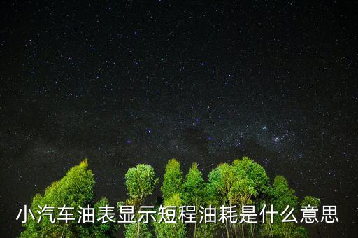 油耗顯示是指什么，請(qǐng)教專業(yè)人士瞬時(shí)油耗顯示是什么意思