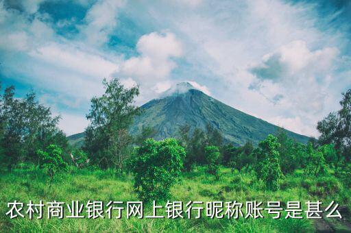 吳江農(nóng)村商業(yè)銀行用戶名是什么，銀行用戶名是什么