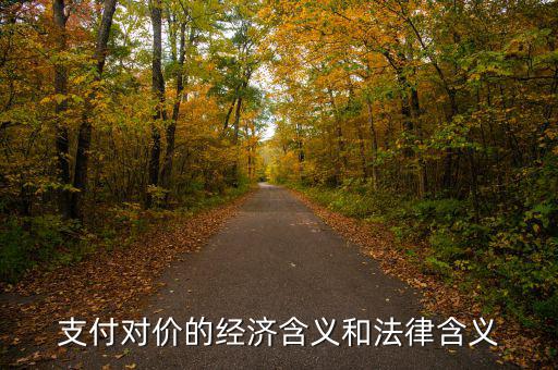 支付對價的經濟含義和法律含義