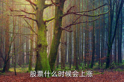 股票在什么情況下才會(huì)漲，股票什么時(shí)候會(huì)上漲
