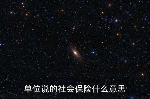 單位社保是什么，單位說的社會保險什么意思