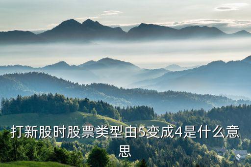 股票類(lèi)型4是什么意思，打新股時(shí)股票類(lèi)型由5變成4是什么意思