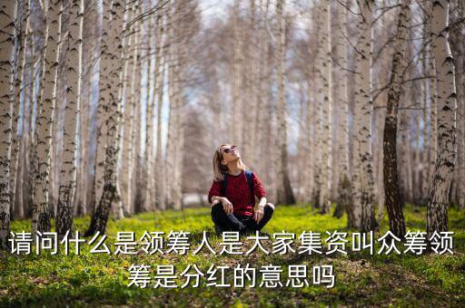 什么是領(lǐng)投人，請(qǐng)問什么是領(lǐng)籌人是大家集資叫眾籌領(lǐng)籌是分紅的意思嗎