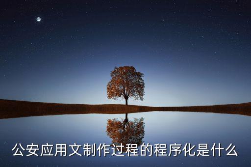公安應(yīng)用文制作過(guò)程的程序化是什么
