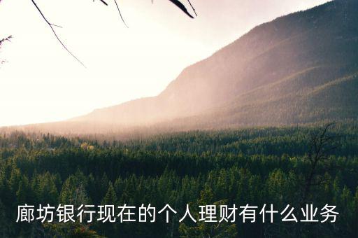 廊坊銀行現在的個人理財有什么業(yè)務