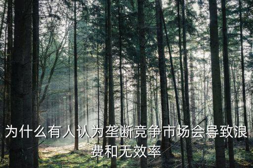為什么有人認為壟斷競爭市場會導致浪費和無效率