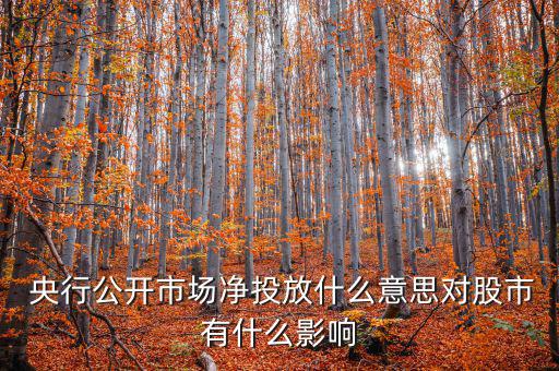 什么是央行凈投放，央行凈投放是甚么意思