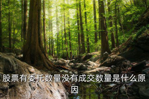 股票沒有成交量是什么情況，為什么股票沒有成交