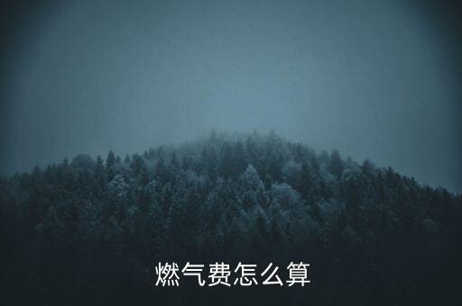 肯德基餐廳燃?xì)庥脷饬吭趺从嬎?城鎮(zhèn)居民用氣價格如何制定?