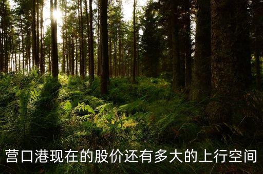 營(yíng)口港為什么漲停，營(yíng)口港股票怎么了