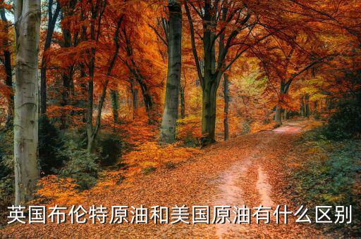 布油與美國原油有什么不同，英國布倫特原油和美國原油有什么區(qū)別