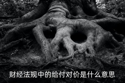 支付對價是什么意思，財經法規(guī)中的給付對價是什么意思