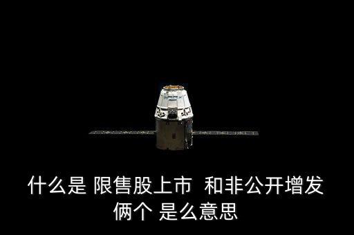 什么是 限售股上市  和非公開(kāi)增發(fā)倆個(gè) 是么意思