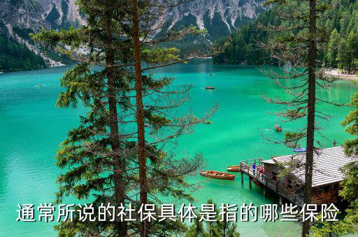 社保包括什么保險(xiǎn)，社保具體是指的哪些保險(xiǎn)