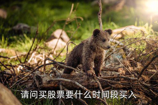 什么時候買入股票，請問買股票要什么時間段買入