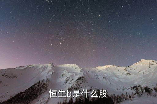 恒生b是什么股票，恒生b是什么股