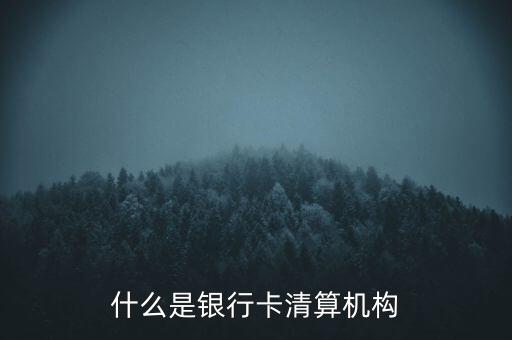 同一卡組織清算機構指什么，銀行卡清算機構銀行支付機構到底有什么區(qū)