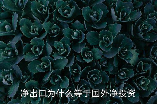 國外凈投資是什么，凈出口為什么等于國外凈投資