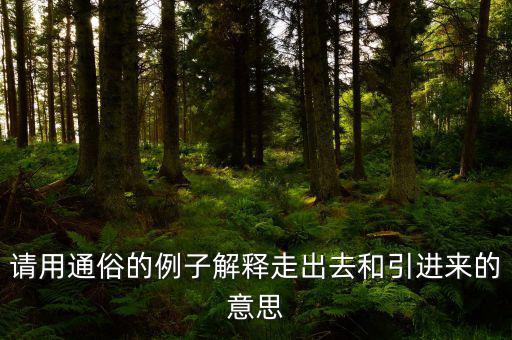 請用通俗的例子解釋走出去和引進(jìn)來的意思