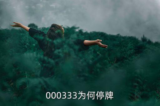 000333為什么停盤，000333為何停牌